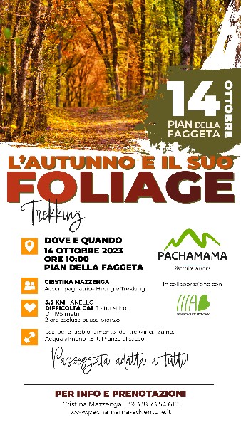 https://www.pachamama-adventure.it/immagini_news/57/pian-della-faggeta-con-il-centro-mab-57-40-600.jpg