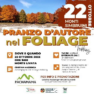 https://www.pachamama-adventure.it/immagini_news/61/foliage-d-autunno-dove-ammirarlo-a-roma-e-dintorni-61-330.jpg