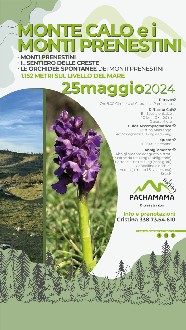 https://www.pachamama-adventure.it/immagini_news/72/trekking-sul-monte-calo-monti-prenestini-25-maggio-2024-72-330.jpg