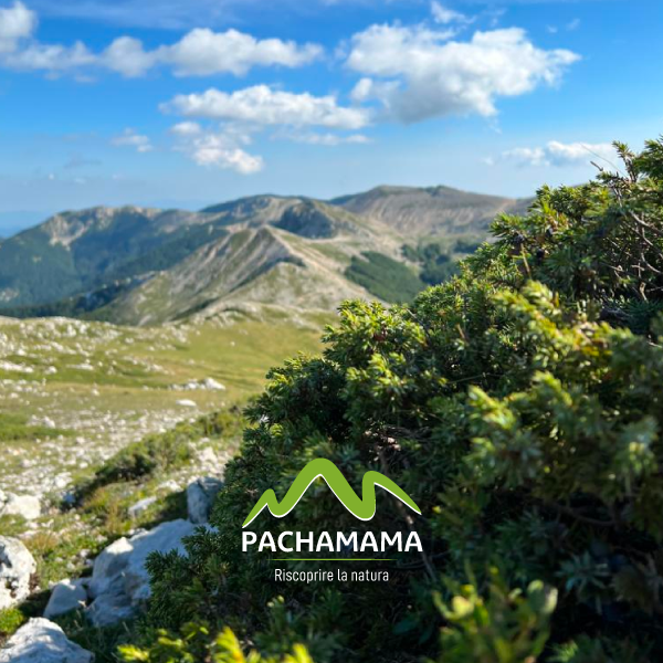 https://www.pachamama-adventure.it/immagini_pagine/185/monte-crepacuore-185.png