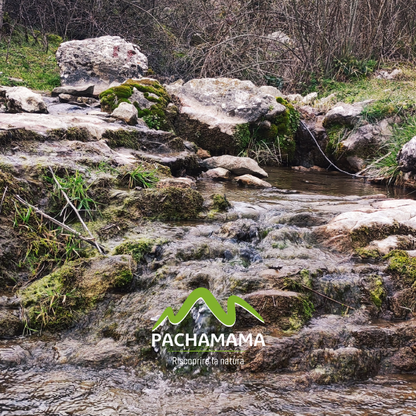 https://www.pachamama-adventure.it/immagini_pagine/189/capranica-prenestina-fontanile-la-forma-monte-calo-capranica-prenestina-189.png