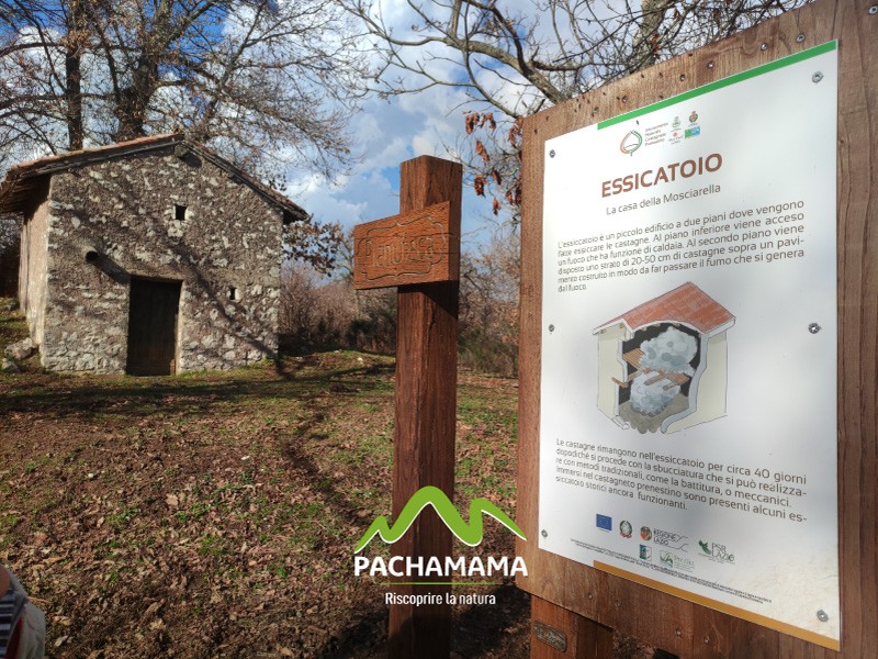 https://www.pachamama-adventure.it/immagini_pagine/202/monumento-naturale-castagneto-prenestino-202-413-600.jpg