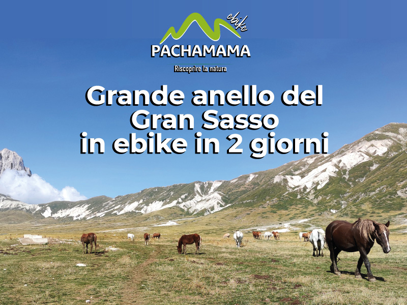 https://www.pachamama-adventure.it/immagini_pagine/232/grande-anello-del-gran-sasso-in-ebike-in-due-giorni-232.jpg